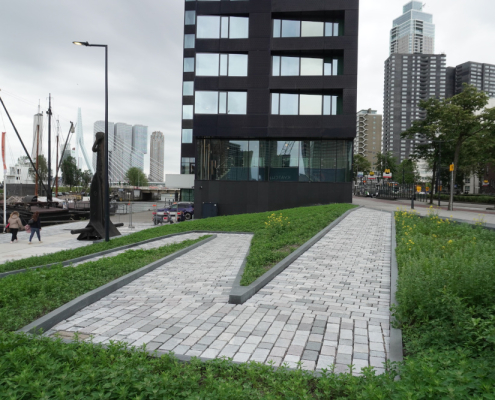 Natuursteen bestrating Leuvepaviljoen (26)
